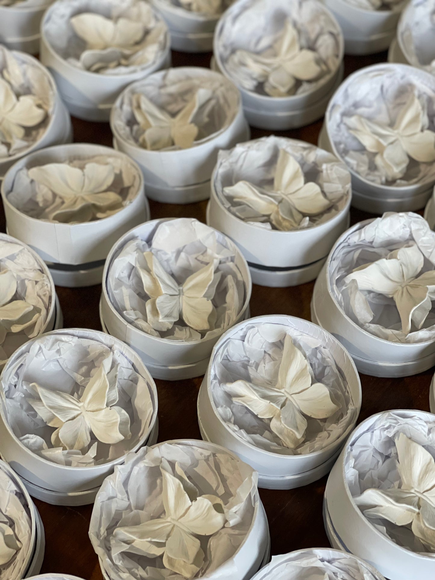 Gesso perfumado - Borboleta