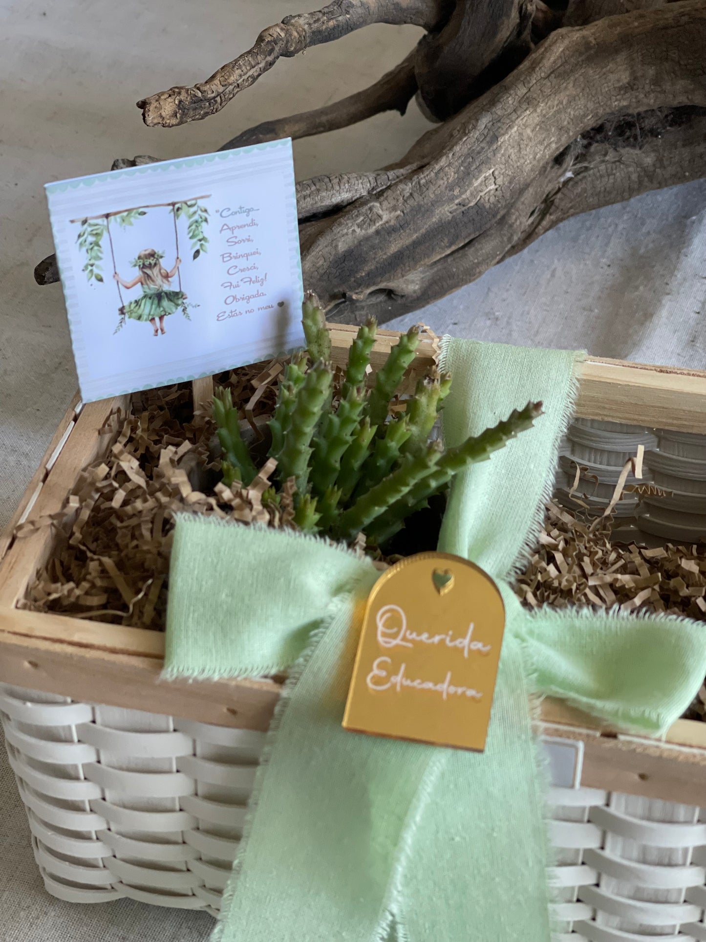 Coffret “cultivar saberes”