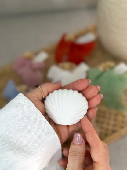 Gesso perfumado - Mini Concha