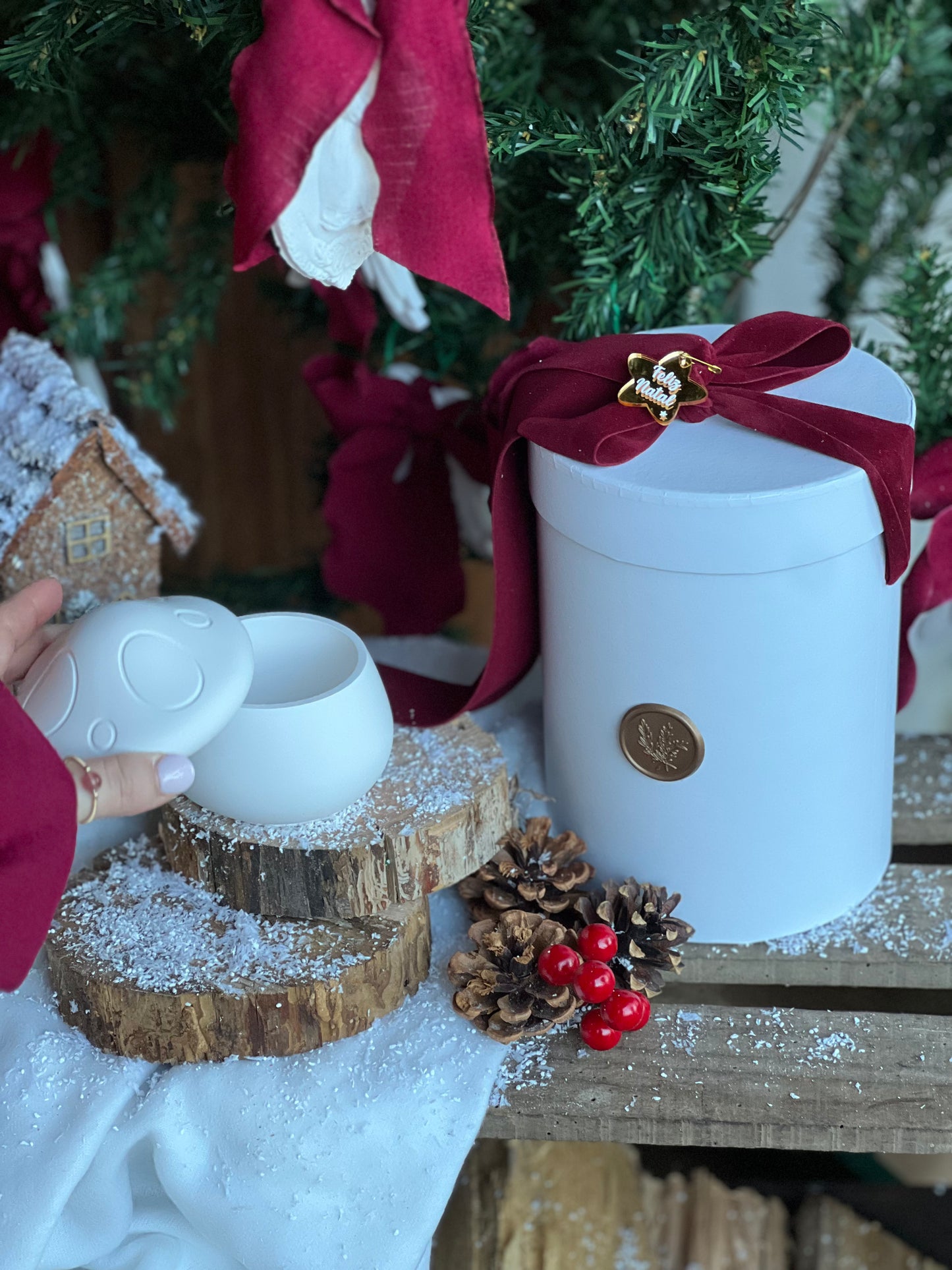 Cogumelo Encantado | Peça Decorativa em Gesso Perfumado com Caixa Branca
