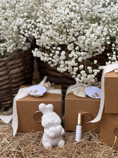 Gesso Perfumado - Coelho Coração Páscoa