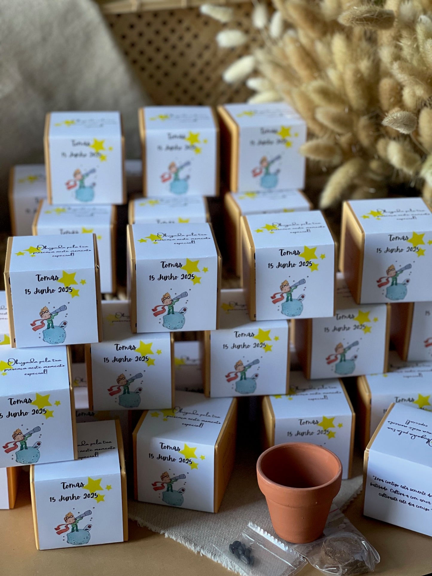 Plantas Naturais - Vaso de Barro com Sementes