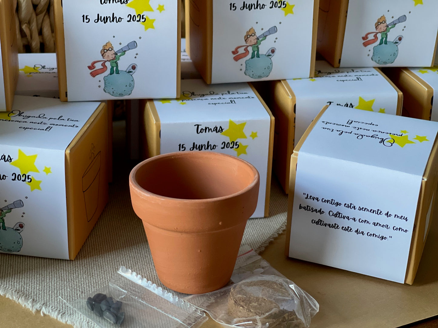 Plantas Naturais - Vaso de Barro com Sementes