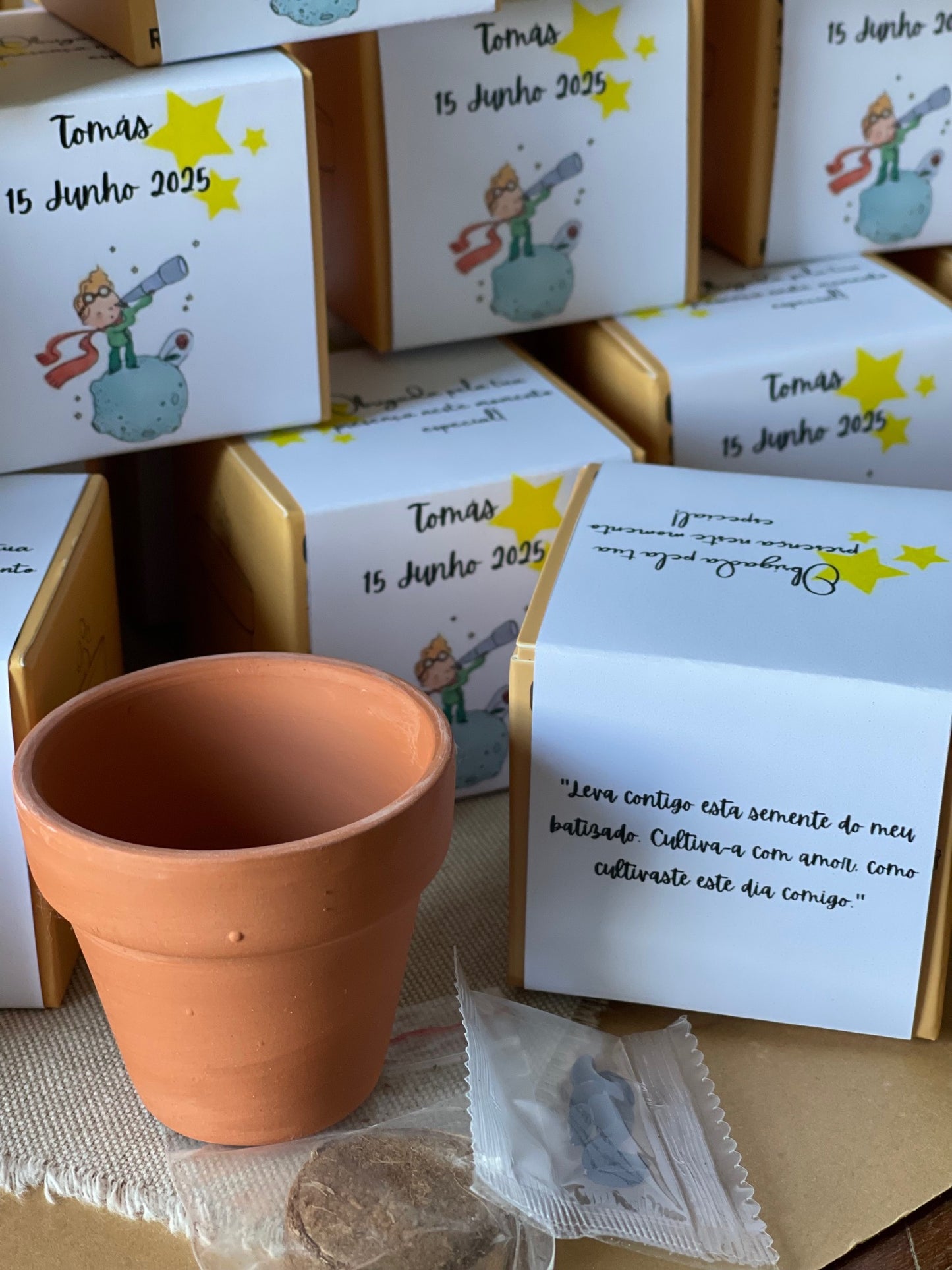 Plantas Naturais - Vaso de Barro com Sementes