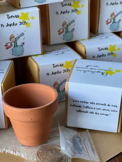 Plantas Naturais - Vaso de Barro com Sementes