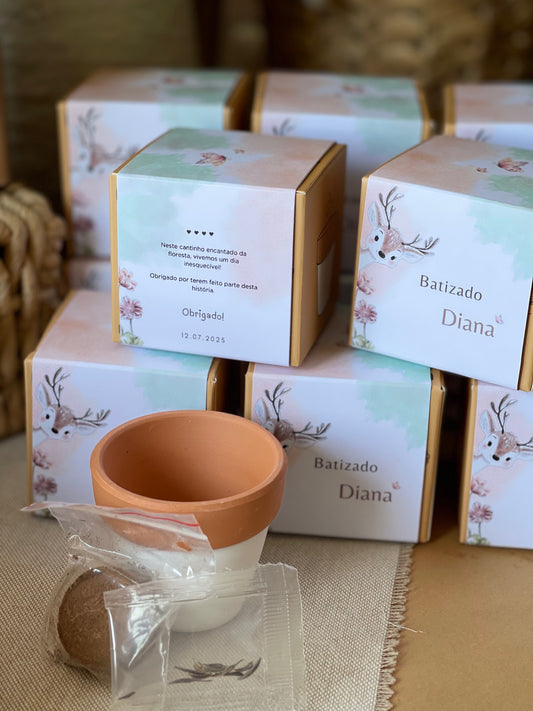 Plantas Naturais - Vaso de Barro com Sementes