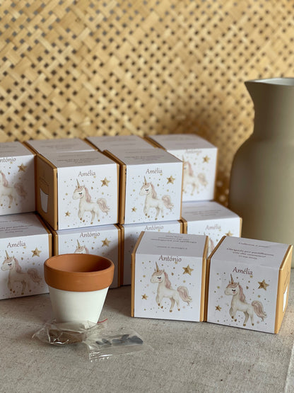 Plantas Naturais - Vaso de Barro com Sementes