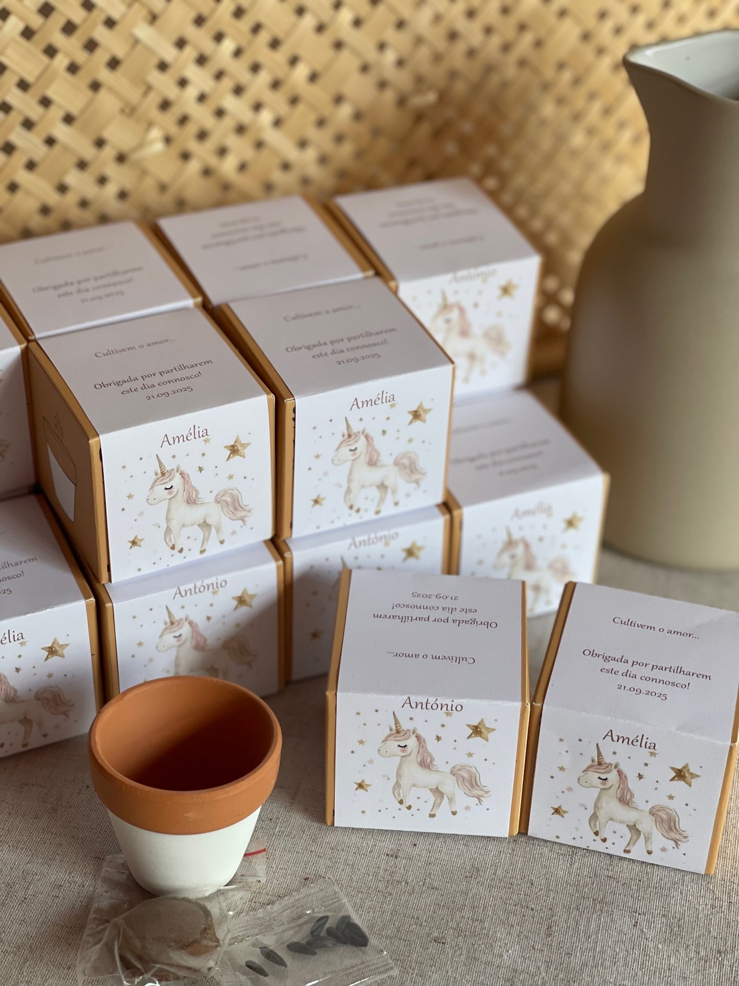 Plantas Naturais - Vaso de Barro com Sementes